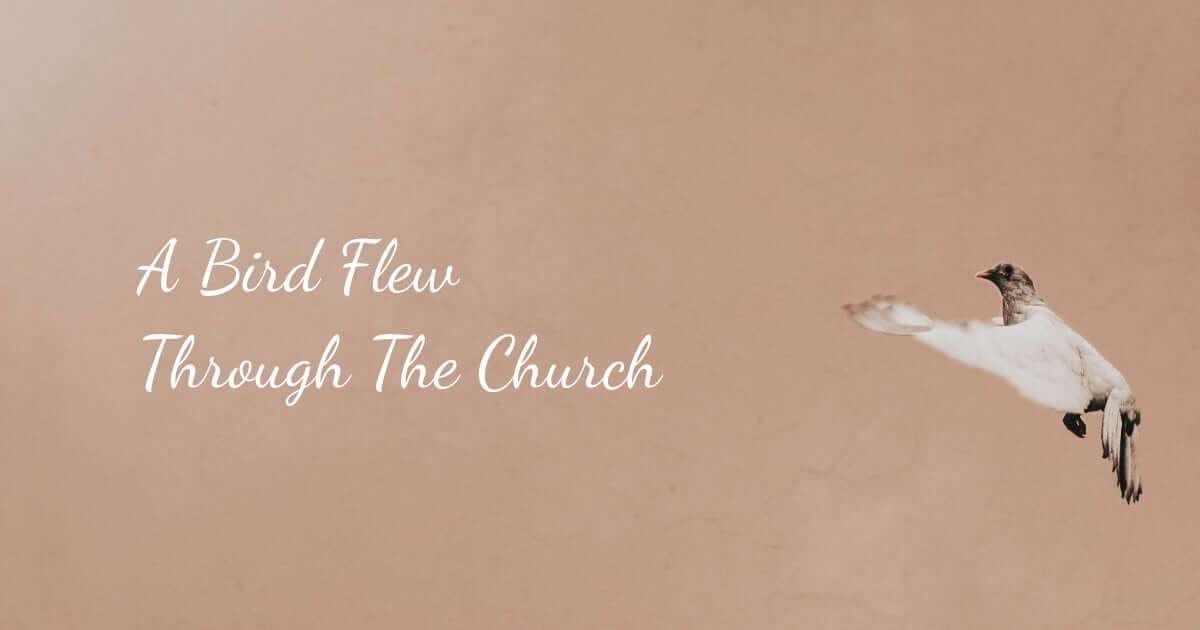 A Bird Flew Through The Church
